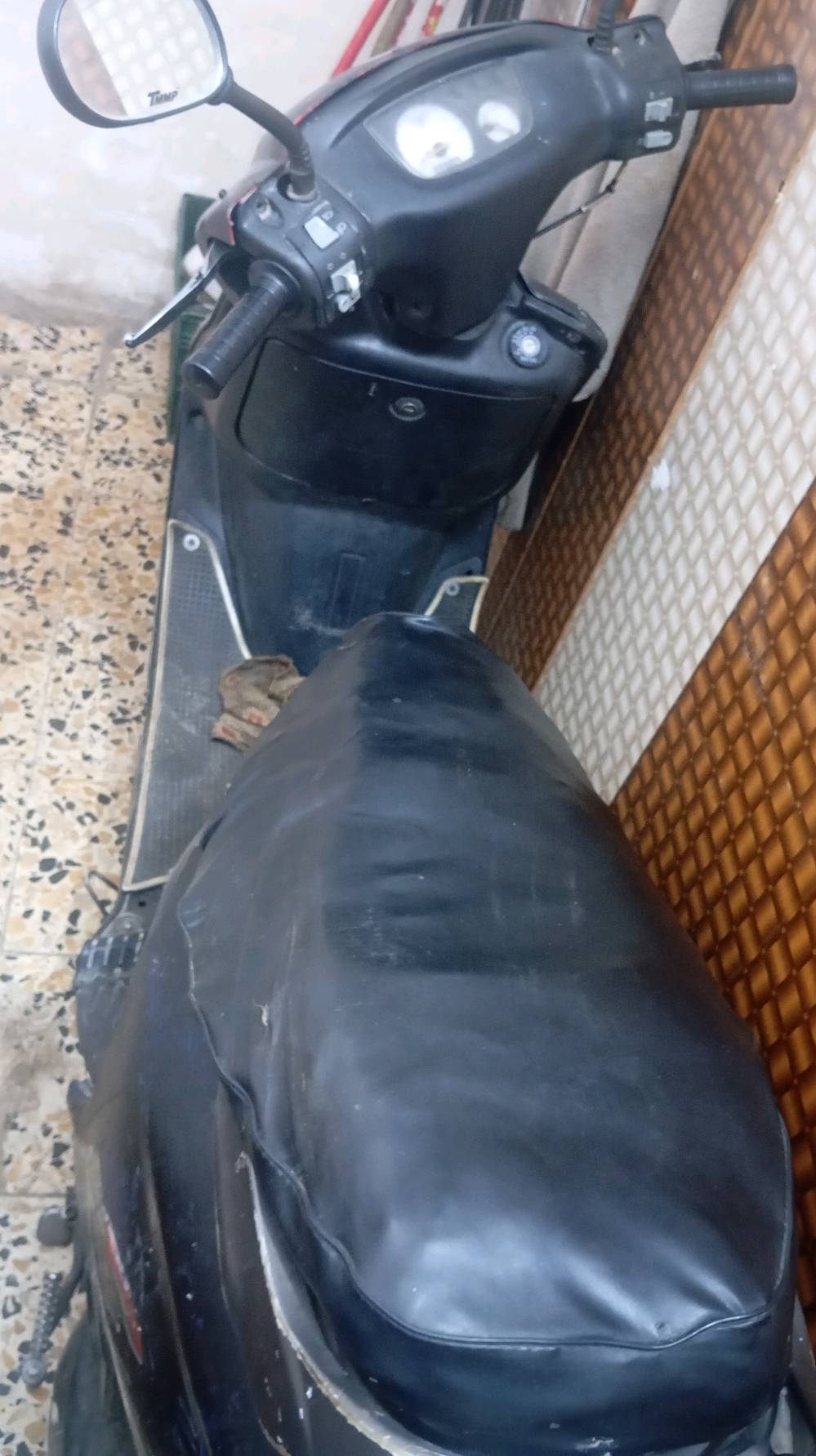 فراشة • نثيه • مامفتوحه