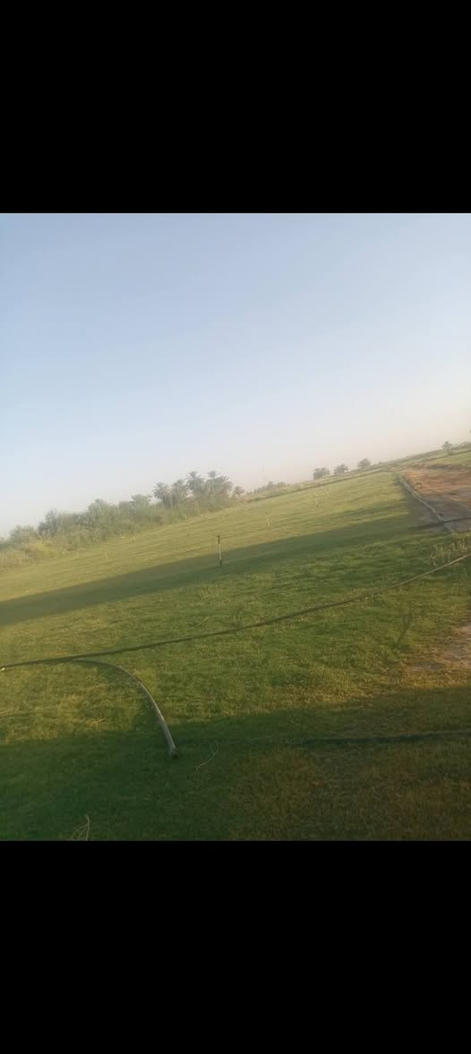 السلام عليكم متوفر ثيل توصيل مجاني بسعر مناسب ***********

