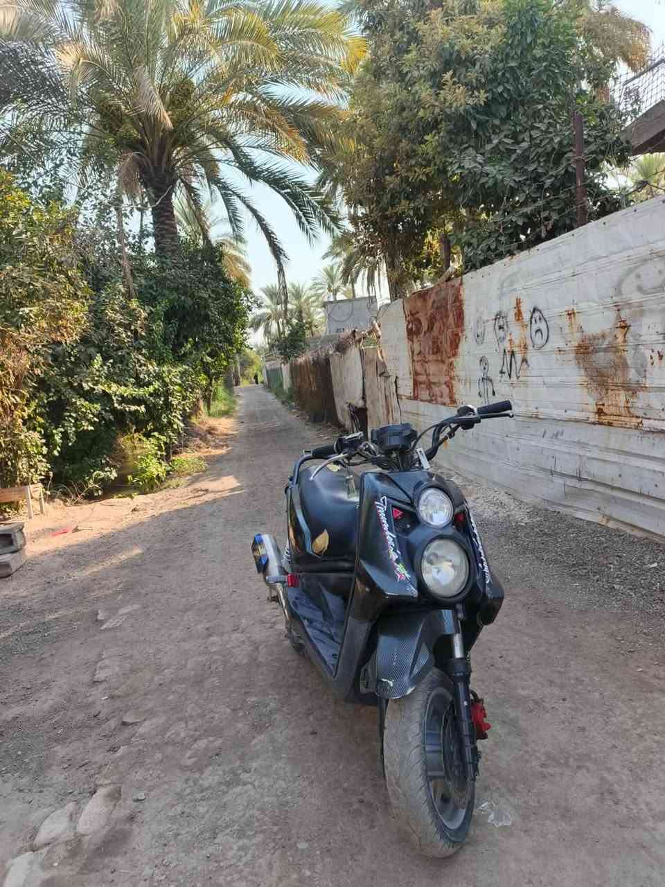 سلام عليكم سكنس جبلي مكينه بلادي كلجات رياضي شلعه تاكل الكاع ومعدل فول كفر بلادي هوه جاي هيج  مكاني بغداد جسر المثنى ***********
السعر 900
