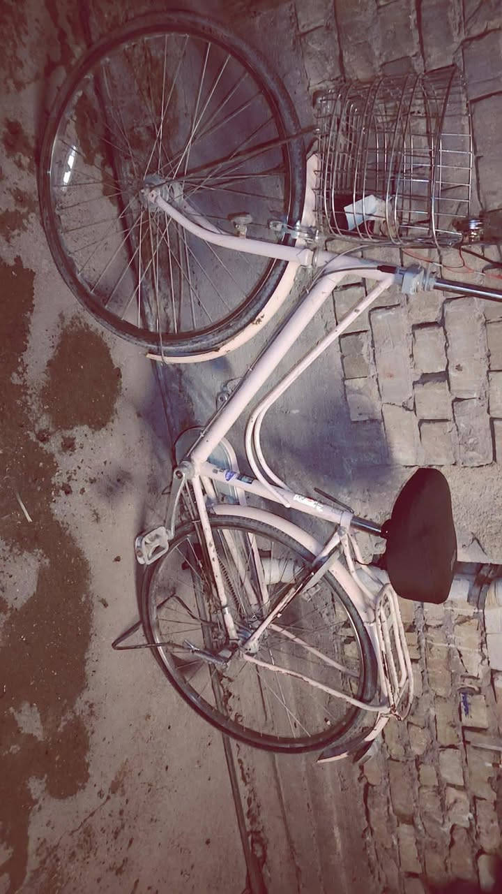 الموصل • بسكليت