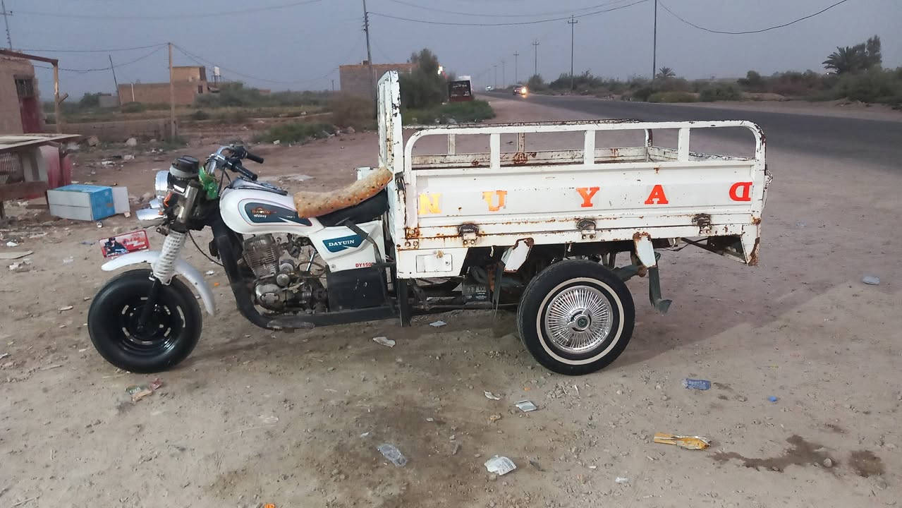 ستوته • ٢٠١٤ • رقم وسنوية