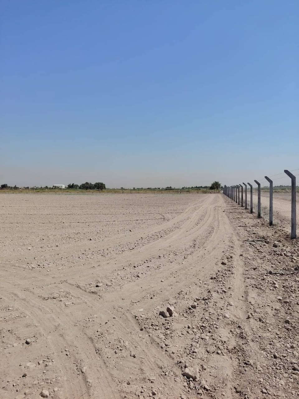 ٦ونص دونم طابو زراعي سند ٢٥ الجفجافه مقابيل حسينية جعفر طيار ماء كهربائ ماء سأله خدمات كامله تبعد عن تبليط ٤٠٠متر عند نهر لصب ١٠٠متر لكاع معدله بليزر مسيجه سياج بيارسي سعر 38 لاستفسار على رقم ***********
