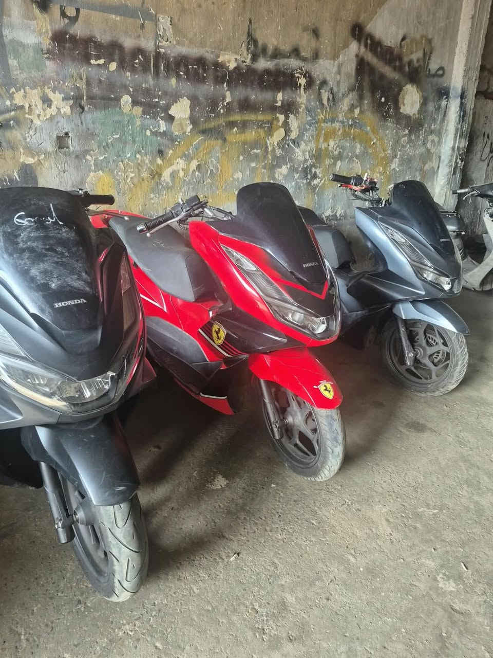 PCX • كوري • كفالة