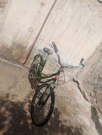 باسكل • تلعفر