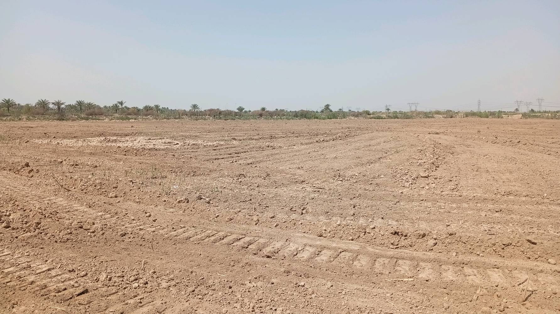 الدرعيه الثانيه المدائن • ١١ دونم • سند ٢٥