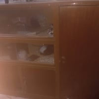 بوفية • نضيفه • حي نيسان