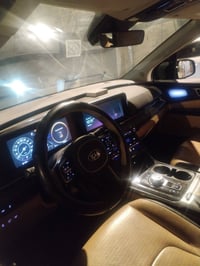 كرنفال ٢٠٢١ • وارد كوري • ٨ راكب