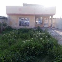 الدورة هور رجب • ٥٠٠م • طابو