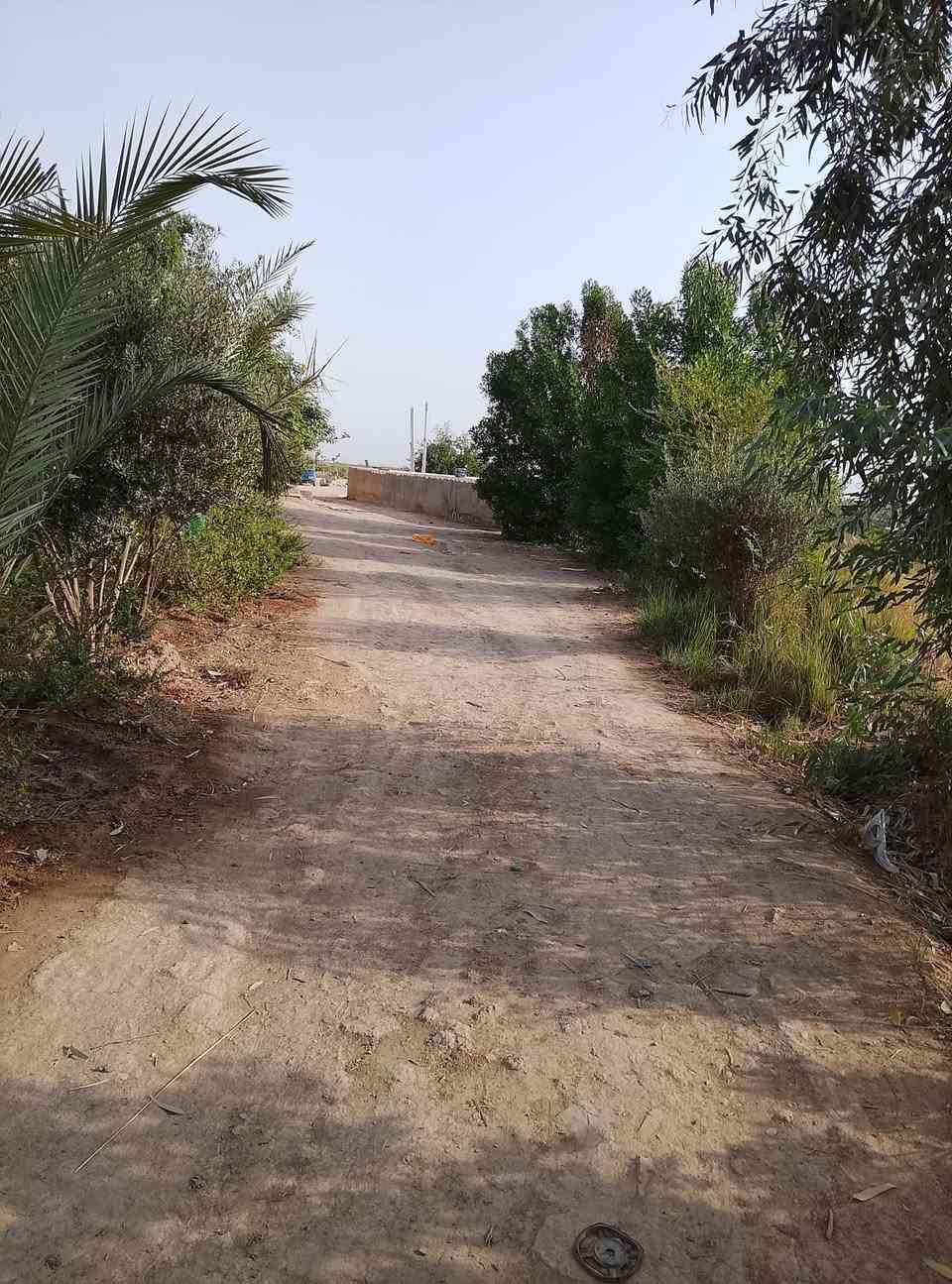نهاية سبع قصور • ٨دونم • مسبح