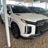 باليسايد • ٢٠٢٣ • باب صبغ