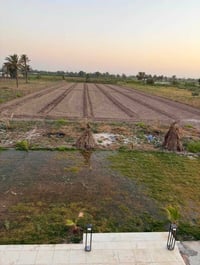 اليوسفية • ٣ دونم • سند ٢٥