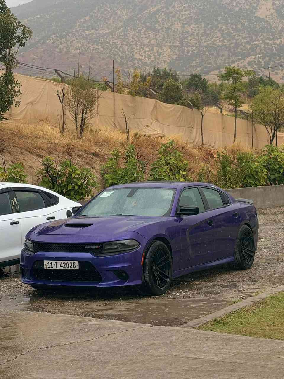 تشارجر GT • ٢٠١٩ • خليجي فتحة