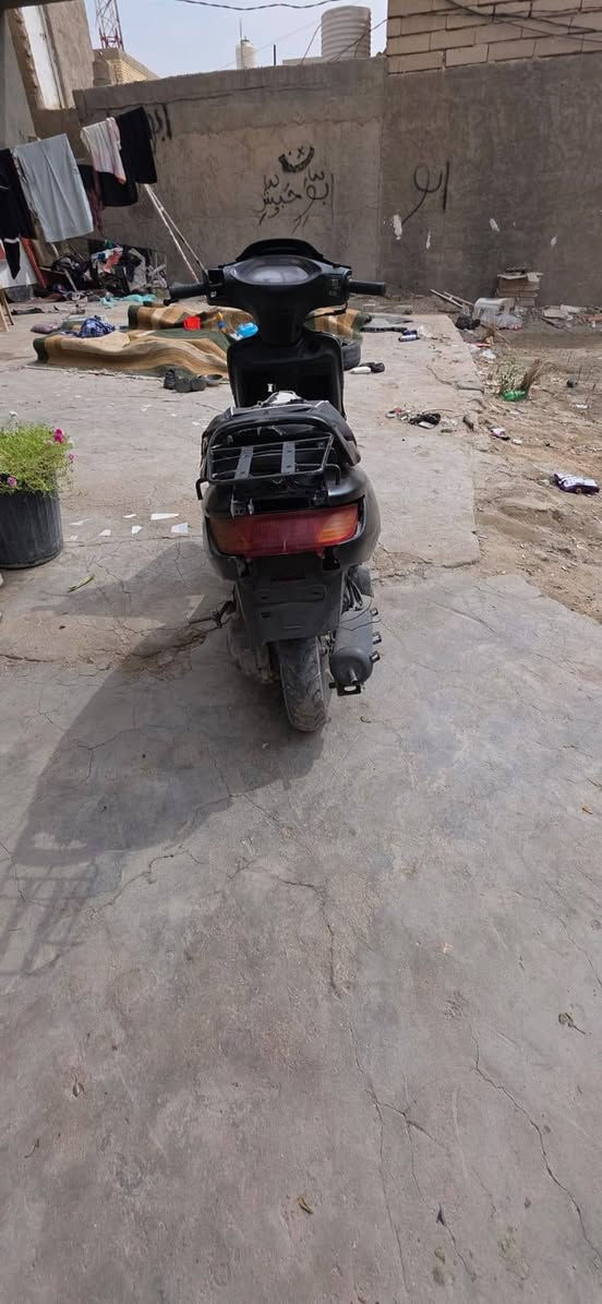 سلام عليكم شباب فراشه فحل البيع دراجه حلوه مامفتوحه  دراجه كلش حلوه وريده 200 بيه مجال قليل مكاني نجف كوفه +964 774 249 3214 وتساب وخاص
