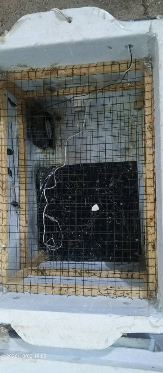 السلام عليكم مفقصه تاخذ 250- نسبته التفقيص 100/95
بيضه السعر 85
مكاني جنوب الموصل ناحية الشوره 
الاستفسار ***********

نص مكتوب في الصور:
- 2026/10/03 19:09
- علاوي
- 2026/10/03 09:09