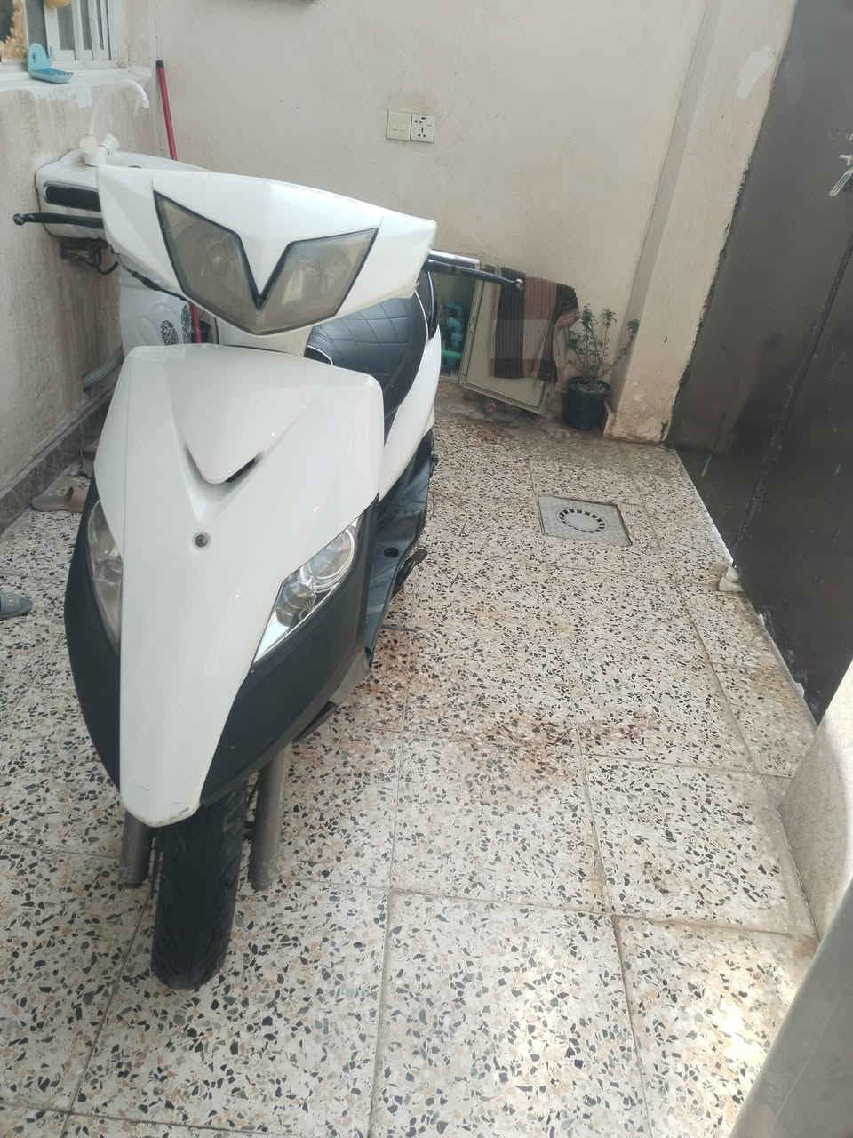 ماكس ثعلب • جسردياله • زعفرانيه