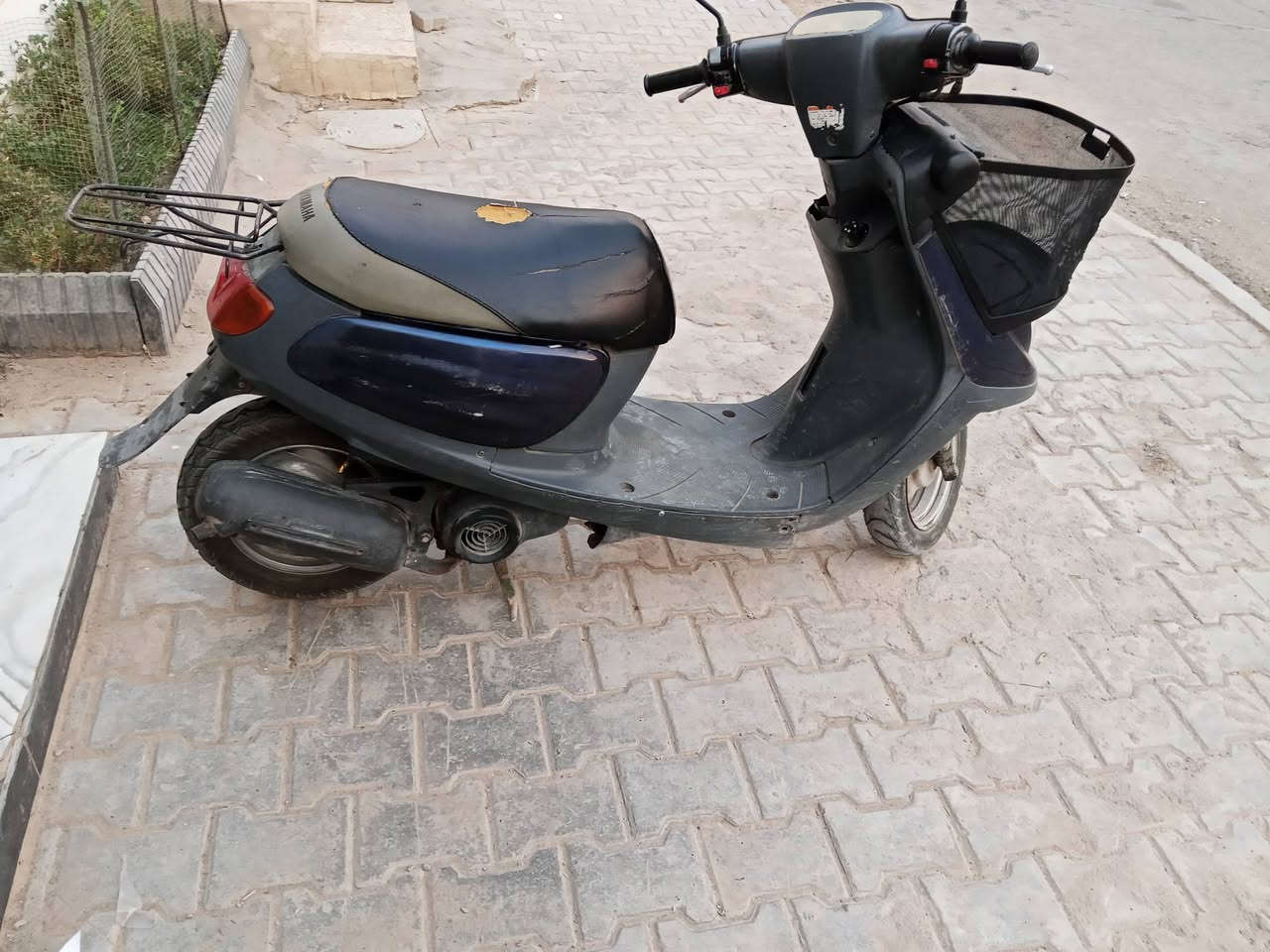 منغولي • نضيفه • معدل