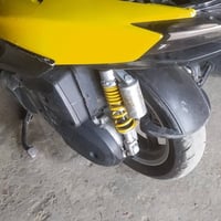سكنس • دبلات