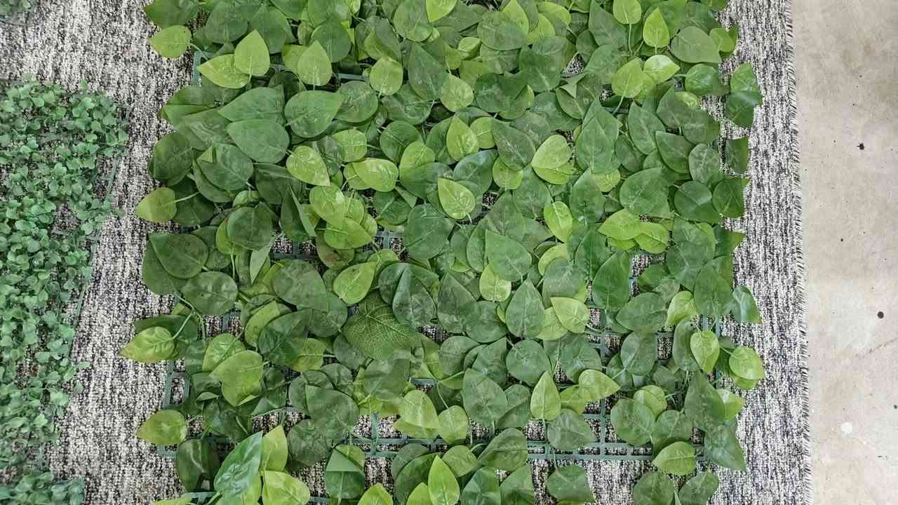 تجهيزات حمودي
خضارات للبيع 
قياس 40×60 
العدد 14 
للاستفسار المراسله على الواتساب او اتصال 
***********واتساب
***********
