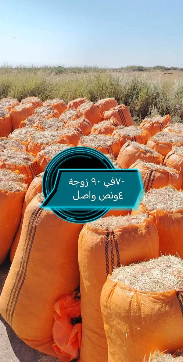 تبن مطحون واصل جميع محافظات العراق جميع أحجام الجيس موجود كل حجم اله سعر ترس فول وتبن نضيف شرط للاتصال واتساب أو اتصل ***********

نص مكتوب في الصور:
- زوجة ٣ واصل ٦٠ في ٨٠
- ٦٠ في ٩٠ زوجة ٣ ونس
- ٧٠ في ٩٠ زوجة ٤ ونص واصل
- ٧٠ في ٩٠
- ٦٠ في ٨٠
- ٠٧٧٣٣٧٥٨١٥ واسط
- عرض 90 طول 115