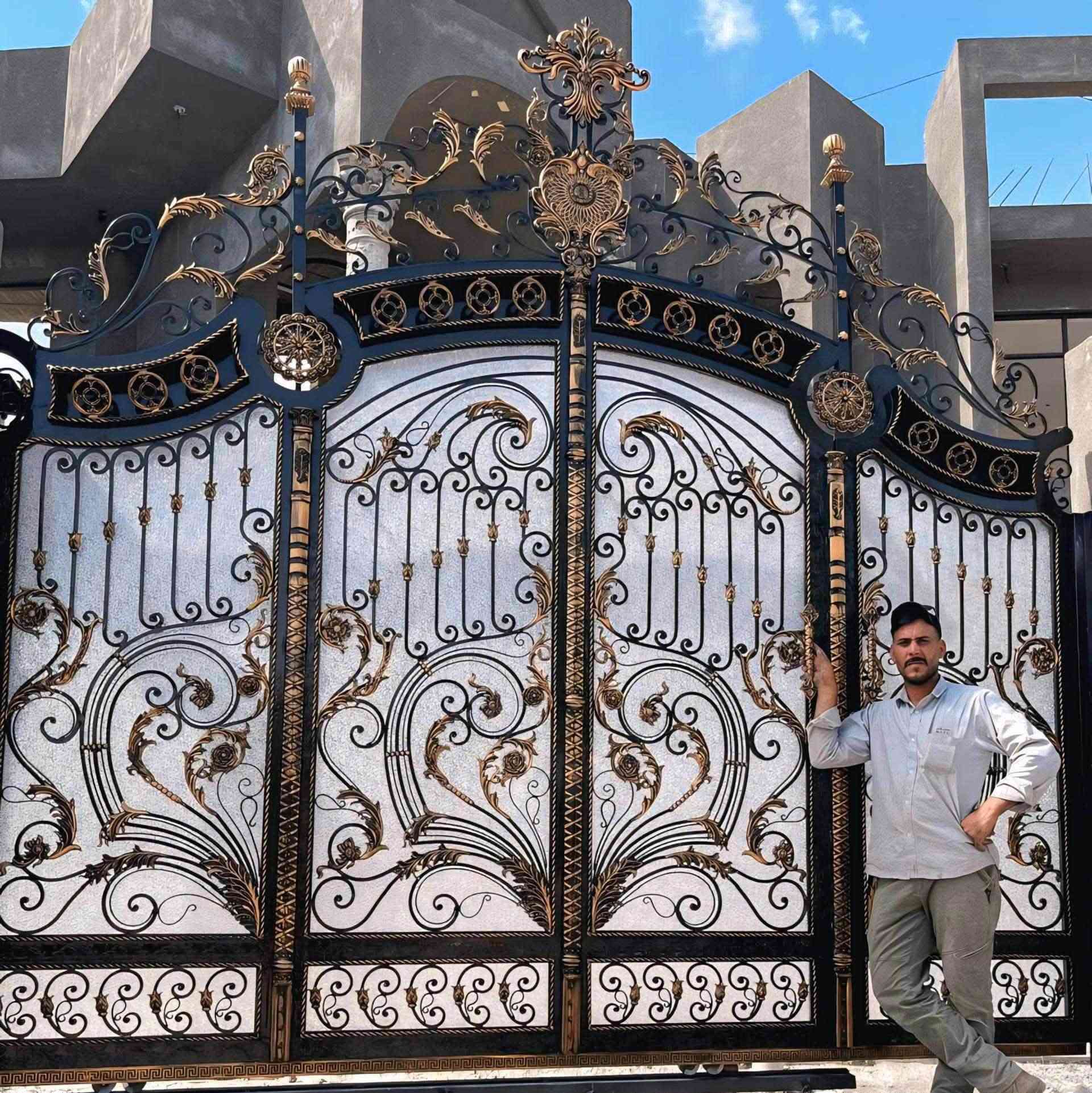 أبواب خارجية • فاخرة • حديد صناعي