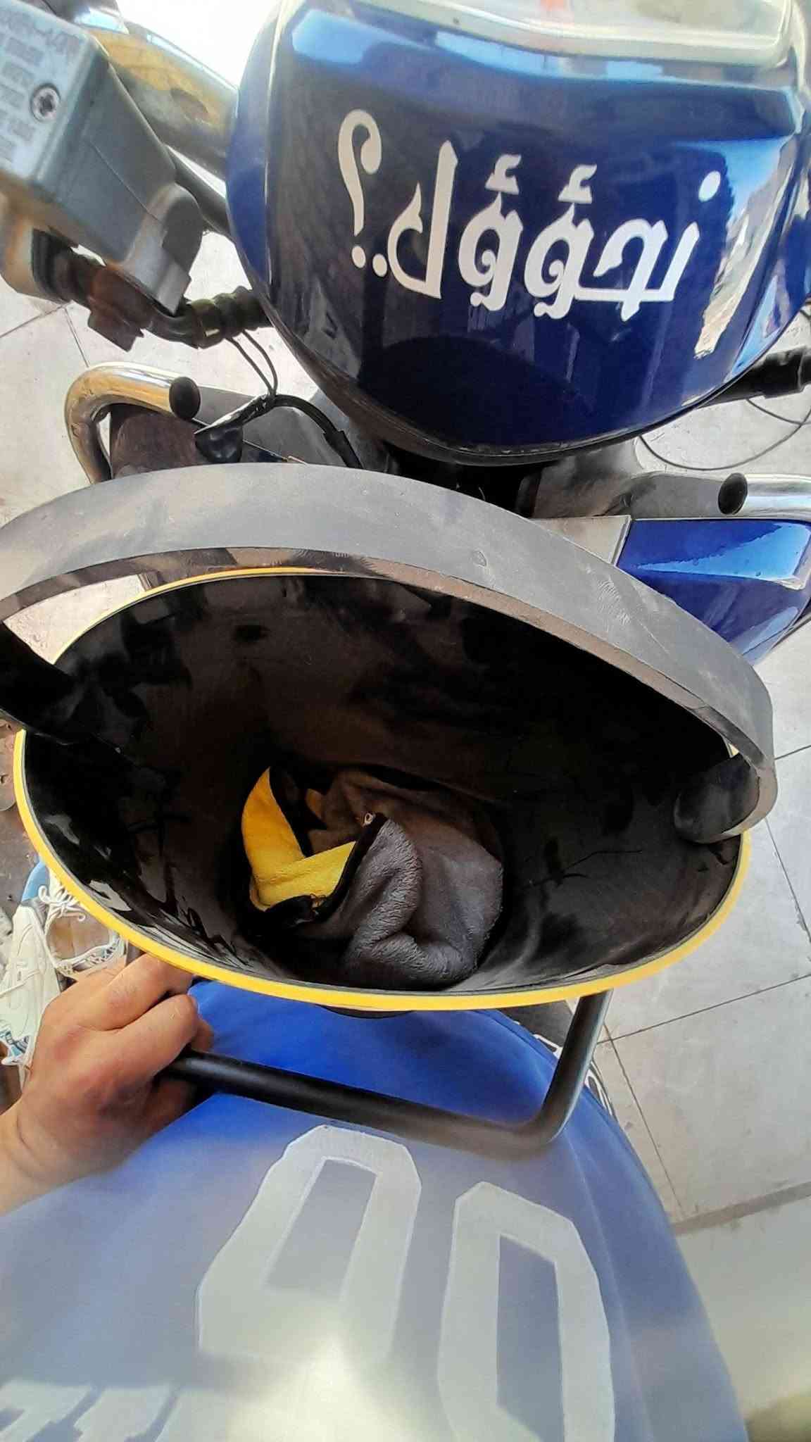 السلام عليكم🖐 
وين لجمبازيه 🥵
وين ليحب دراجته🫶 
وين ليدور مختلف🤔
كميه قليله لحكو شباب
صطل غسل جوبلس ماركت مشلن 
يصير بجنطت دراجه 
15 الف ولزغير على 10 سؤيت تخفيض
توصيل موجود🤓 
***********
