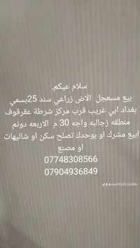 بسمي بغداد • ارض زراعي • ٤ دونم