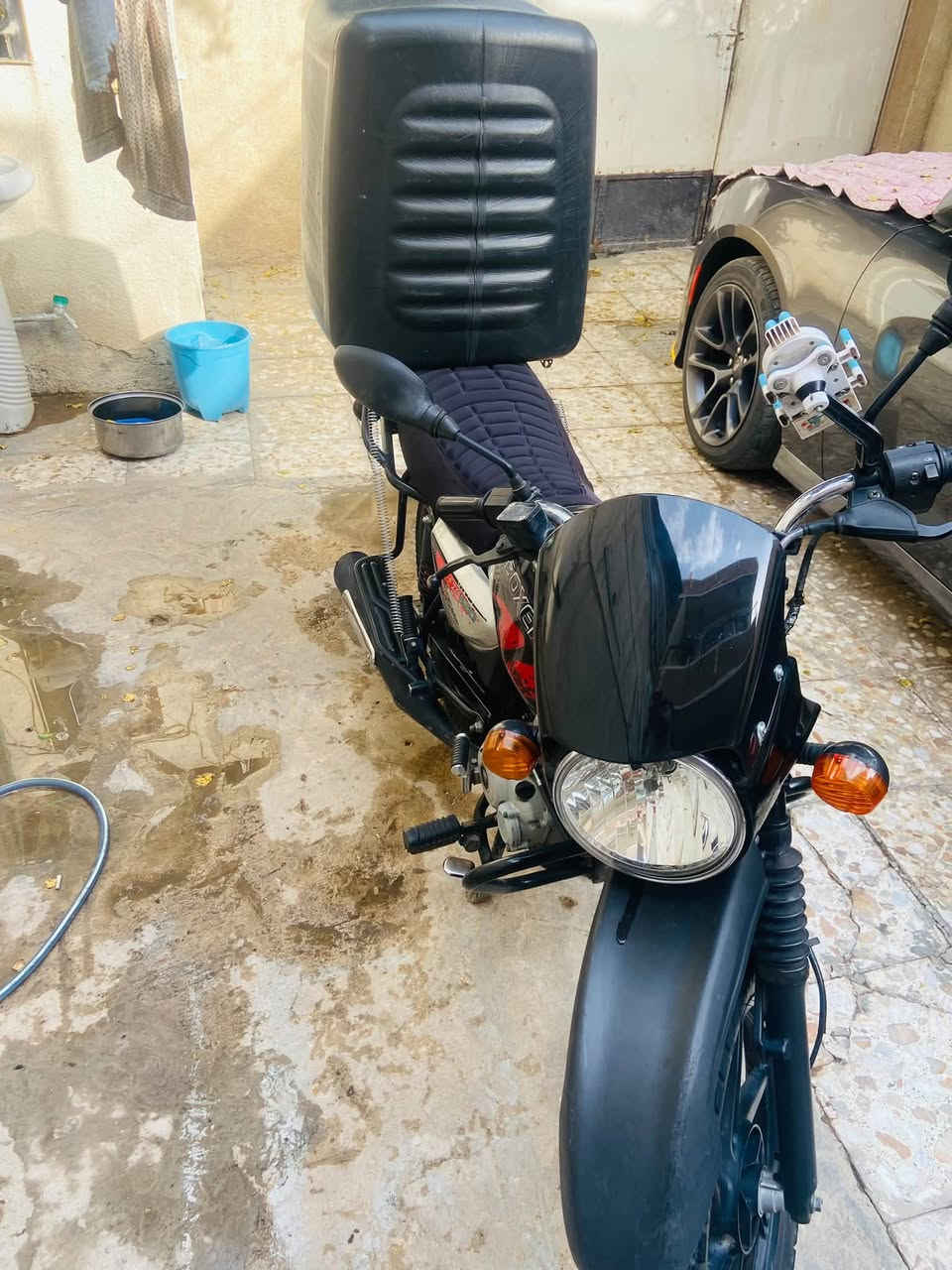 بوكسر • مجفته • بدون اوراق