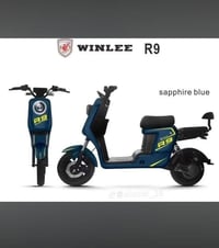 دراجة شحن • بطاريات نظيفة • WINLEE R9