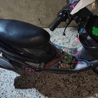 ماكس عدله • نضيفه • بوشه 49