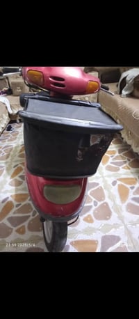٦٠ • منغولي • مكفول