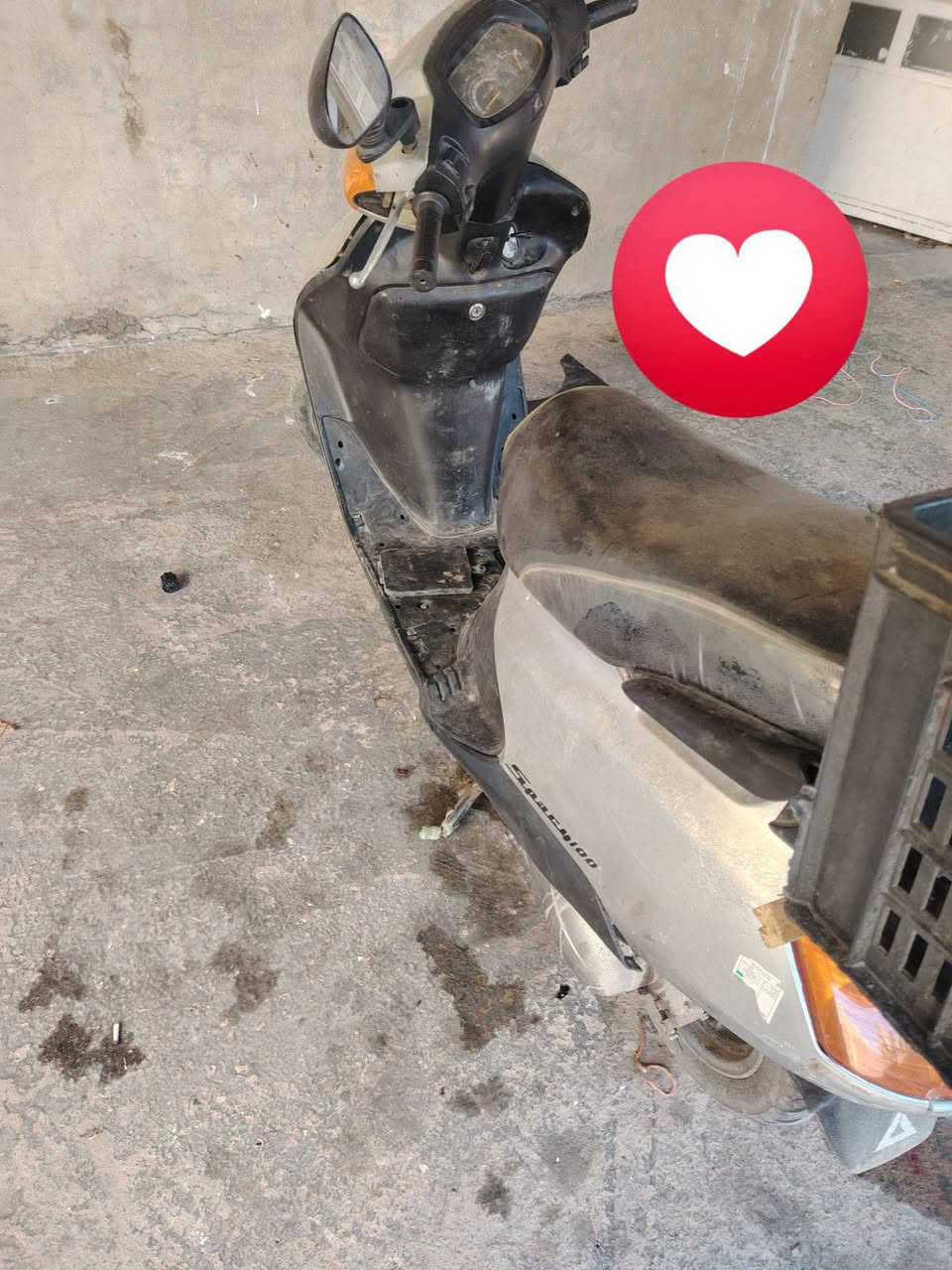 هوندا • صويرة • مجال الشراي