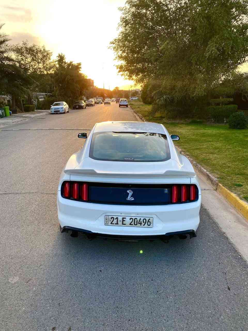 2017
V6
ماشيه 143km
سياره حزام 
123$ 
***********
لتخابرني تحجي بالسعر تعال شوفها خل تعجبك 
و تدلل 
سياره نقصها بس صدر
