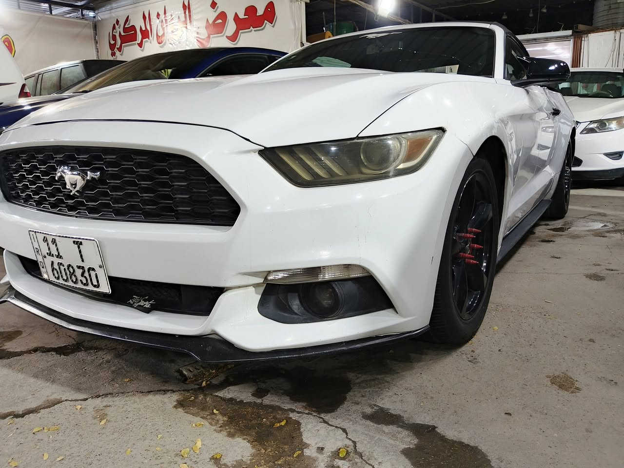 موستنك موديل 2015 إيكو بوست 
محرك كير صدر كهربائي كله نظيف 
كشف جديد الداخل كله جديد 
كشنات كهرباء تحكم ستيرن شفتات 
بيه 4قطع صبغ ابيعه حزام 
السياره بدون دواخل حادث فقط جامرلغ خلفي 
تحويل ثاني يوم 
العنوان صليخ شارع المعارض ليالي باريس 
***********

