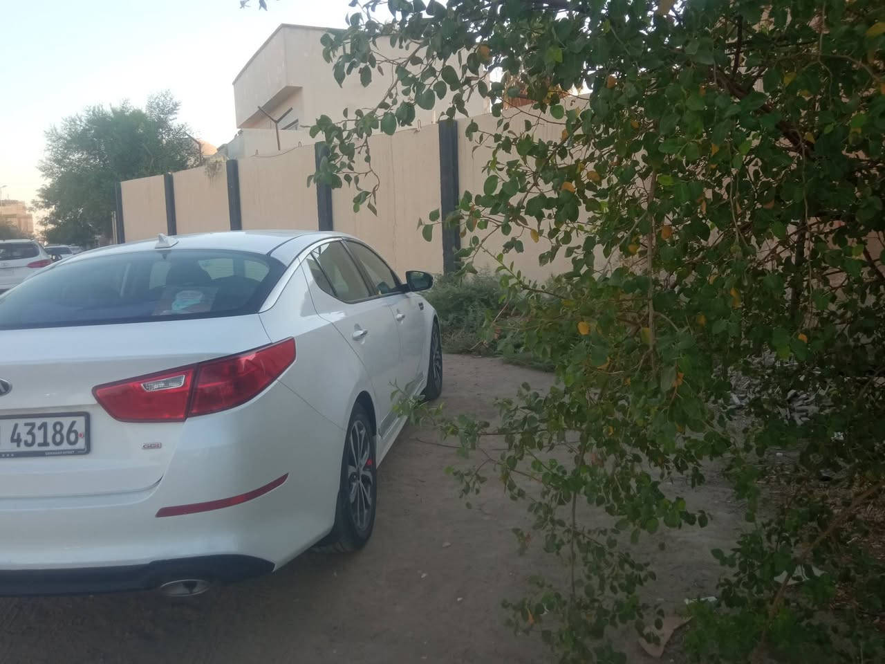 السلام عليكم أوبتما موديل ١٥ لون ابيض رقم أربيل دولي سياره بدون حادث كير حداديه تبريد تخم تاير جديد سياره   جناي مواصفات نضام اسبورت حساسات أبواب حساسا تايرات مكاني بابل استفسار أكثر اتصال ***********
