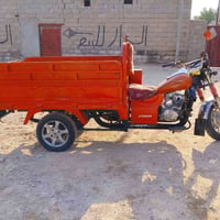 ستوته • فرس نيفان • ١٧