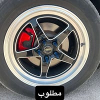رايد ويل • ويلد • حجم ١٨