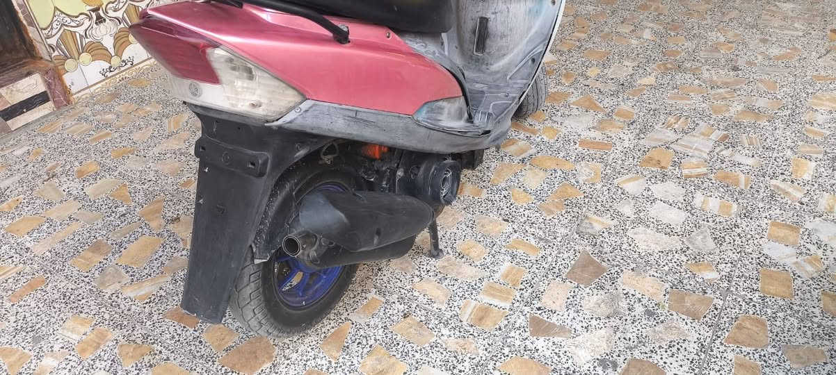 ماكس قجمة • سلف • نهضة حلو