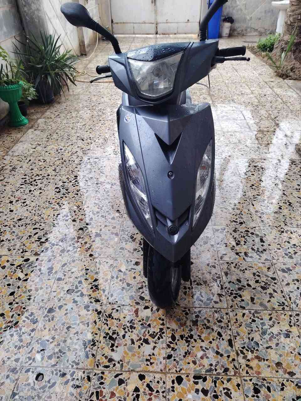 جي تي ار • جديده • تفتح سويج
