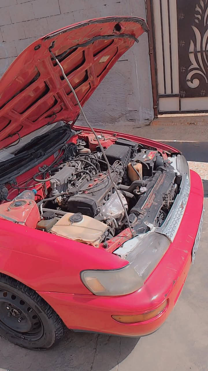كورلا للبيع موديل 1994  سنويه لل 2030  كير ومحرك 16 شرط الأصلي ابلادي باتري  وطخم تاير جدد كاربون بانزين بيها حداديه جديده تريد وكاله تريد تحويل سياره جاهزه من 

كلشي السعر 40وبيها مجال‏‪‏‪***********‬
***********
