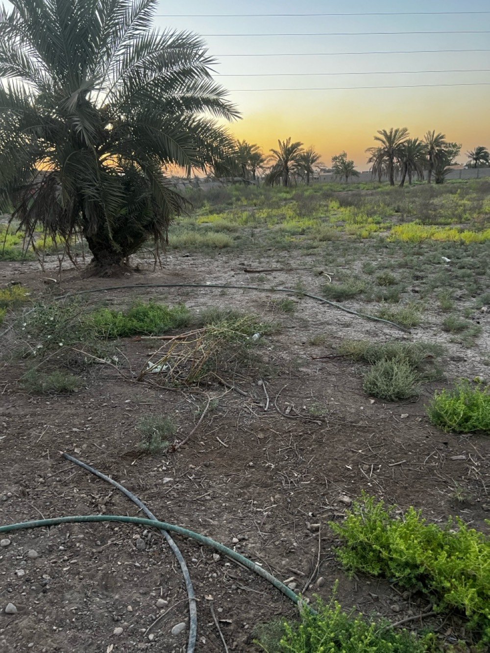 سلام عليكم 3 دوانمً البيع ماء كهرباء خير من الله 
حسب الطلب يعني نبيع دونم عادي عله شارعين 
كرغوليه خلف بانزين خانه سايد الواحد تواصل عله رقم *********** واستاب