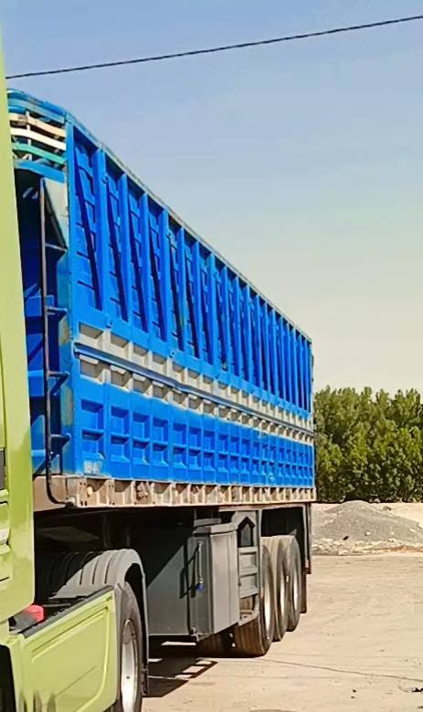 عربانة • طول ١٢ ونص • الناصرية