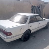 مكفوله • نضيف • رقم كربلاء
