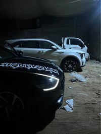 فول مواصفات • ٢٠٢٢ • البصرة