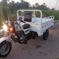 ستوته • ٢٠٢٠ • مكفول