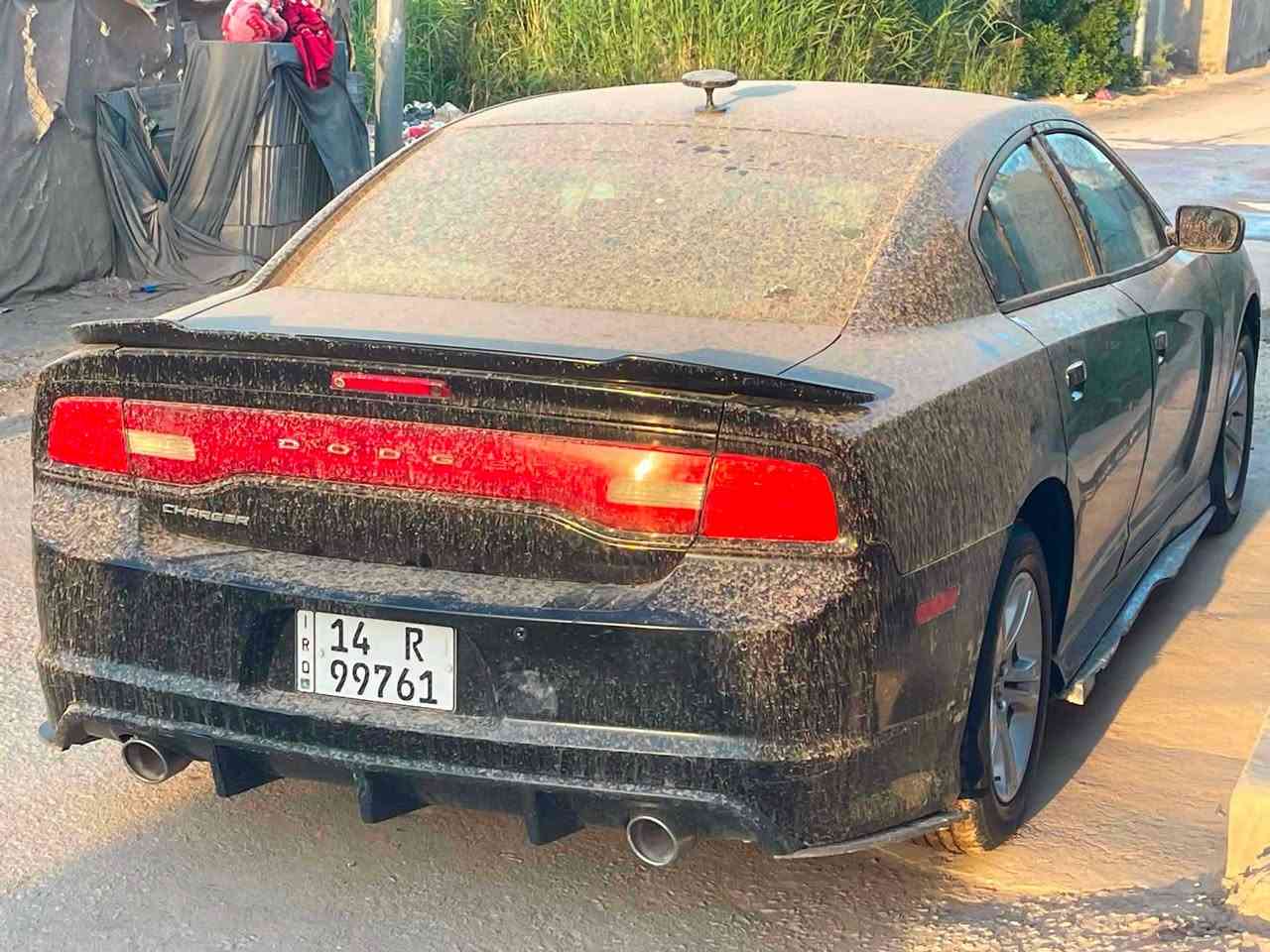 السلام عليكم  مراوس او بيع مكاني بابل بسمي مديل 14 سونار بل منشور. ***********
