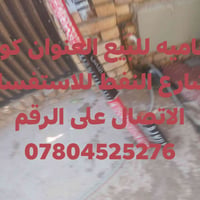 دعامية • كوت شارع النفط