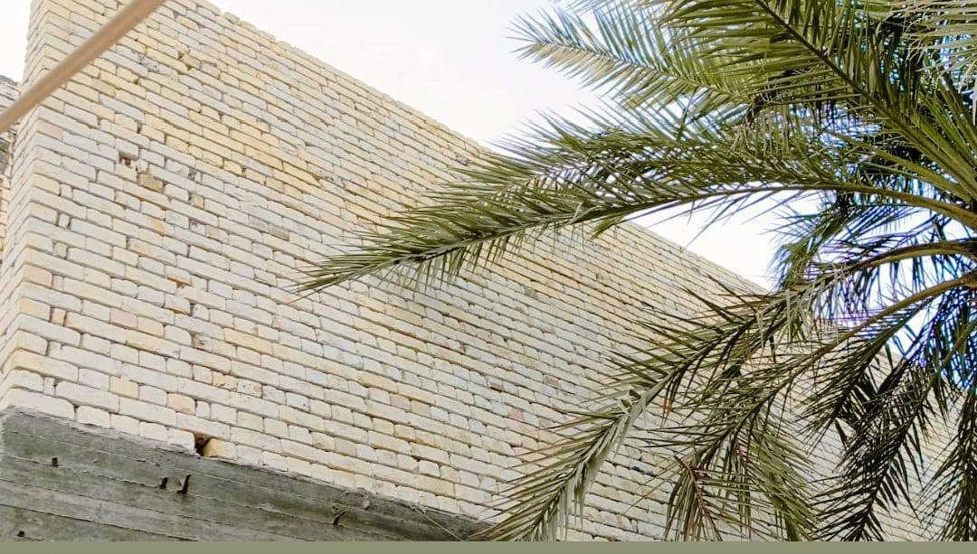 سلام عليكم خلفه بناء درجه اولى نشر قلب  شرط استلام مهندس متفرغ حاليا متواجد في كربلاء شغل مستمر مو يوم ويوم )(***********

نص مكتوب في الصور:
- ٢٠٢٥/٠٢/٠٢
- inix SMART 8 Pro