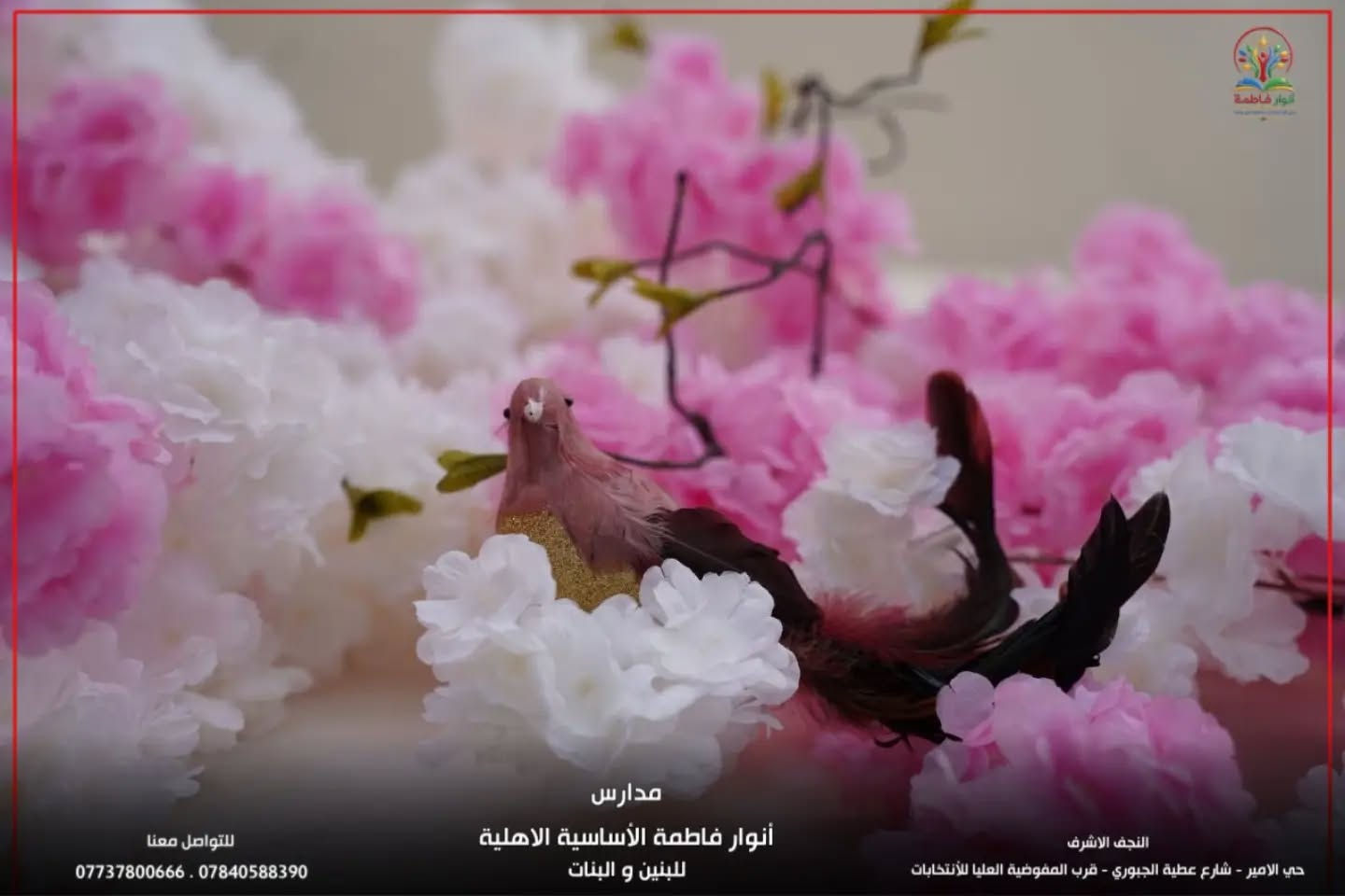 لا توجد تفاصيل

نص مكتوب في الصور:
- مدارس أنوار فاطمة الأساسية الاهلية للبنين و البنات النجف الاشرف حي الامير - شارع عطية الجبوري - قرب المفوضية العليا للانتخابات للتواصل معنا ***********7840588390
- مدارس أنوار فاطمة الأساسية الاهلية للبنين و البنات النجف الاشرف حي الامير - شارع عطية الجبوري - قرب المفوضية العليا للأنخابات للتواصل معنا *********** . ***********
- للتواصل معنا ***********7840588390 مدارس أنوار فاطمة الأساسية الاهلية للبنين و البنات النجف الاشرف حي الامير - شارع عطية الجبوري - قرب المفوضية العليا للانتخابات
- النجف الاشرف حي الامير - شارع عطية الجبوري - قرب المفوضية العليا للأنتخابات مدارس أنوار فاطمة الأساسية الاهلية للبنين و البنات للتواصل معنا ***********7840588390
- مدارس أنوار فاطمة الأساسية الاهلية للبنين و البنات النجف الاشرف حي الامير - شارع عطية الجبوري - قرب المفوضية العليا للانتخابات للتواصل معنا *********** . ***********