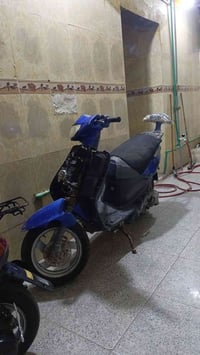 اكزز • فحل • شغل