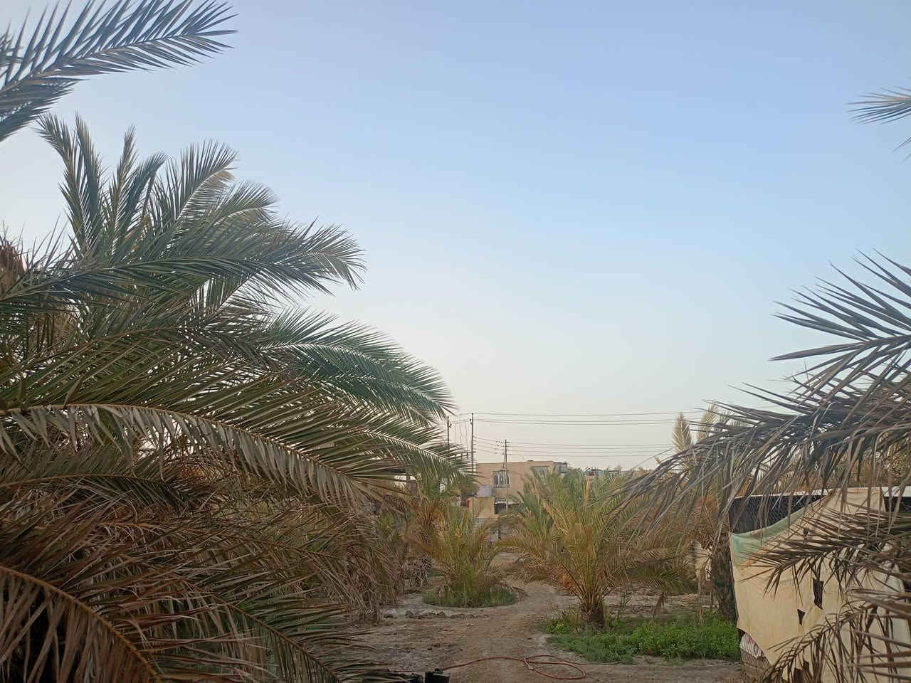السلام عليكم بيت للبيع مع بستان حديقه چبيره مساحه 1000م
العنوان ناصريه منطقة العكر خلف محطة القطار 

 محتويات البيت صاله 2غرف وديوانيه مطبخ 

وصحيات.  خارجيه  

  مساحة بناء البيت. 200 م. البيت   متوفر بي كافة الخدمات الاستفسار الاتصال على الرقم ***********
